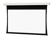 DALITE SCREEN COMPANY, INC-24869