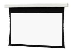 DALITE SCREEN COMPANY, INC-24869