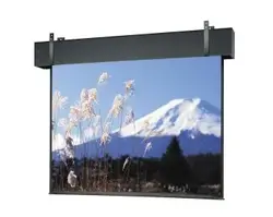 DALITE SCREEN COMPANY, INC-81680