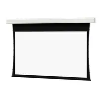 DALITE SCREEN COMPANY, INC-21782