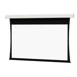 DALITE SCREEN COMPANY, INC-21782