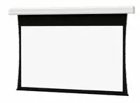 DALITE SCREEN COMPANY, INC-24865