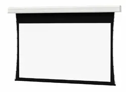 DALITE SCREEN COMPANY, INC-24865