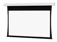 DALITE SCREEN COMPANY, INC-21781