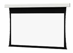 DALITE SCREEN COMPANY, INC-21781