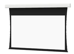 DALITE SCREEN COMPANY, INC-37034BL