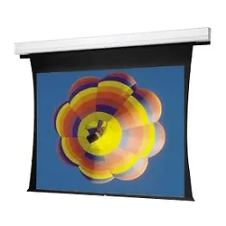 DALITE SCREEN COMPANY, INC-89952LSR