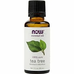 Now Essential Oils-231824