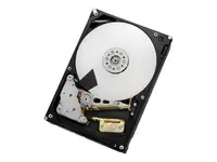 Western Digital-H724020ALE640