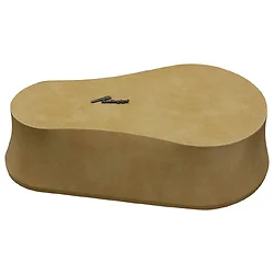 Nippon Labs-ISPODWD8TTAN