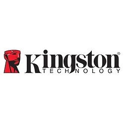 KINGSTON-SDR2/64GB