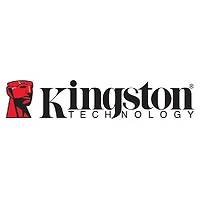 KINGSTON-SDR2/256GB