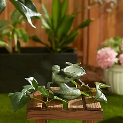 Songbird Valley-10017750