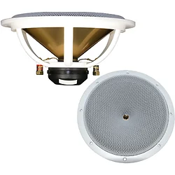 DC GOLD AUDIO-N9.5C WHITE 4 OHM