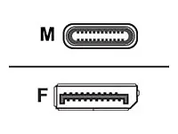 ADDON-USBC2DPMFAL-AA