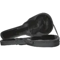 Gator Cases-GL-JUMBO