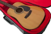 Gator Cases-GT-ACOUSTIC-GRY