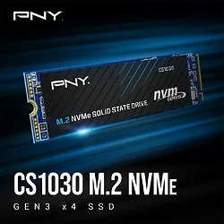 PNY Technologies-M280CS1030-250-RB