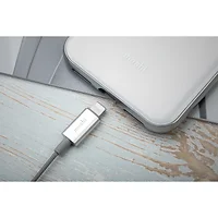 AEVOE CORP-99MO035082