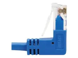 Tripp Lite-N204-S10-BL-UD