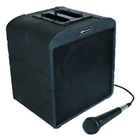 AmpliVox-S690