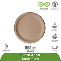 ECO-PRODUCTS,INC.-EP-PW9