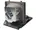 NWTFL-DBV27099-FACTORY-SEALED