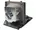NWTFL-DBV27099-FACTORY-SEALED