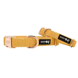 Sassy Woof-C-SUNFLOWERFIELDS-M