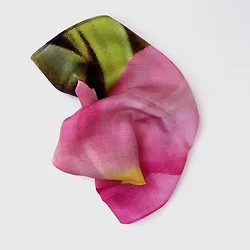 A Curious Beast-1449024