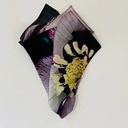 A Curious Beast-1449051