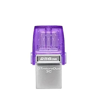 KINGSTON-DTDUO3CG3/256GB