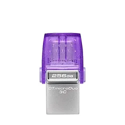 KINGSTON-DTDUO3CG3/256GB