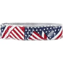 Tenacious Holdings Inc-EGO 12421