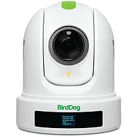 BirdDog-BDP120W