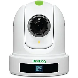 BirdDog-BDP120W