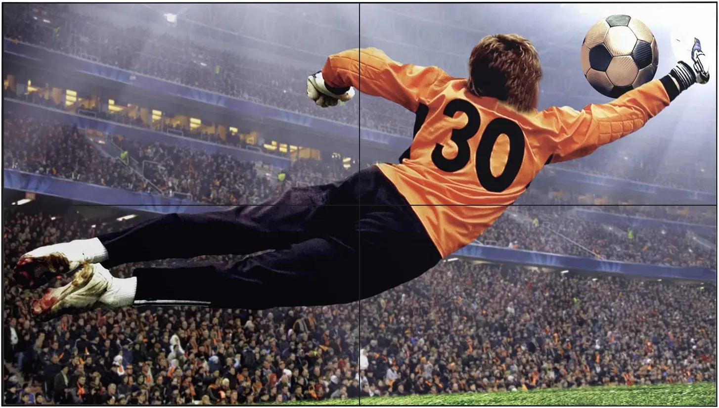 LG Electronics-49VL5GA