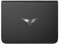 Team Group Inc-T8FED8001T0C302