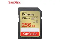 Western Digital-SDSDXVV-256G-GNCIN