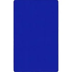 Flagship Carpets LLC-FCI AS80RB