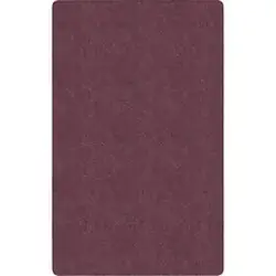 Flagship Carpets LLC-FCI TS22PL