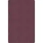 Flagship Carpets LLC-FCI TS22PL