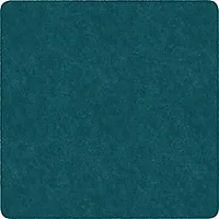 Flagship Carpets LLC-FCI TS70MB