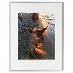 Stewart Superior-SSC AL1114SV