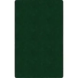 Flagship Carpets LLC-FCI TS80EG