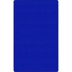 Flagship Carpets LLC-FCI BS22RB