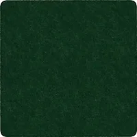 Flagship Carpets LLC-FCI TS70EG