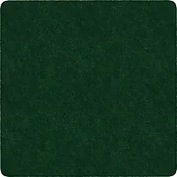 Flagship Carpets LLC-FCI TS70EG