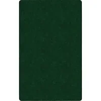 Flagship Carpets LLC-FCI TS22EG