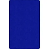 Flagship Carpets LLC-FCI TS34RB